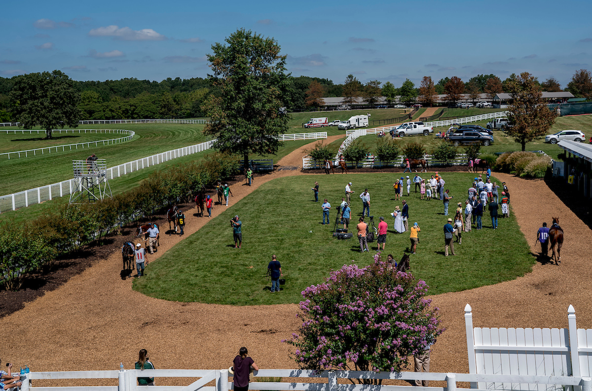 1/ST BET AI Picks Kentucky Downs Closing Day Stakes Wednesday